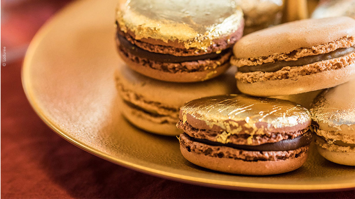 GOUTTES D'OR (グット・ドール) | ベルナルドの磁器