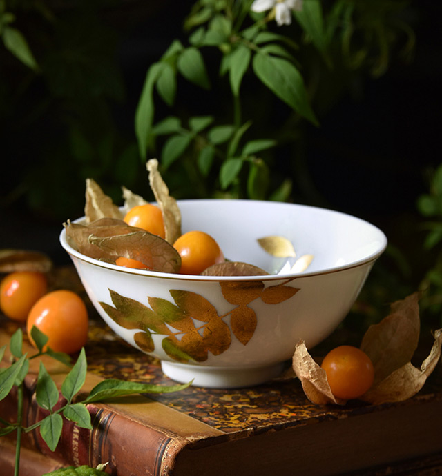 ボウルの新しいコレクション | ベルナルドの磁器