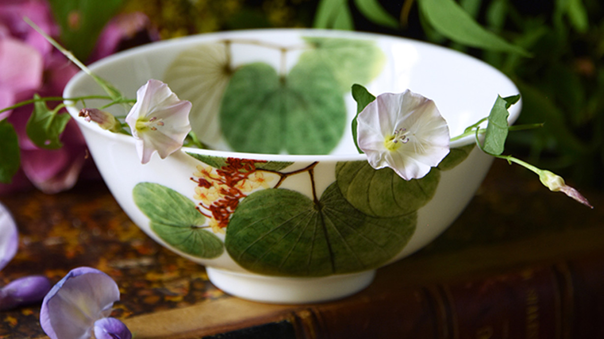 ボウルの新しいコレクション | ベルナルドの磁器