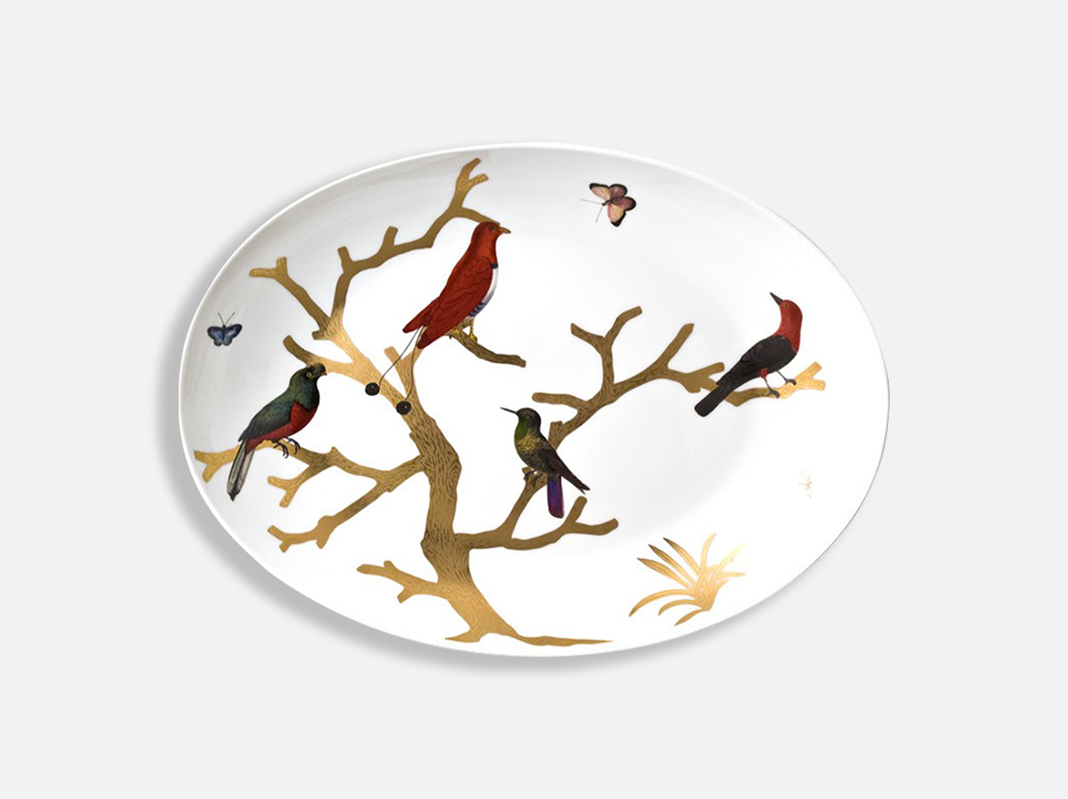 China Coupe oval platter 16" x 11.4" of the collection Aux oiseaux | Bernardaud