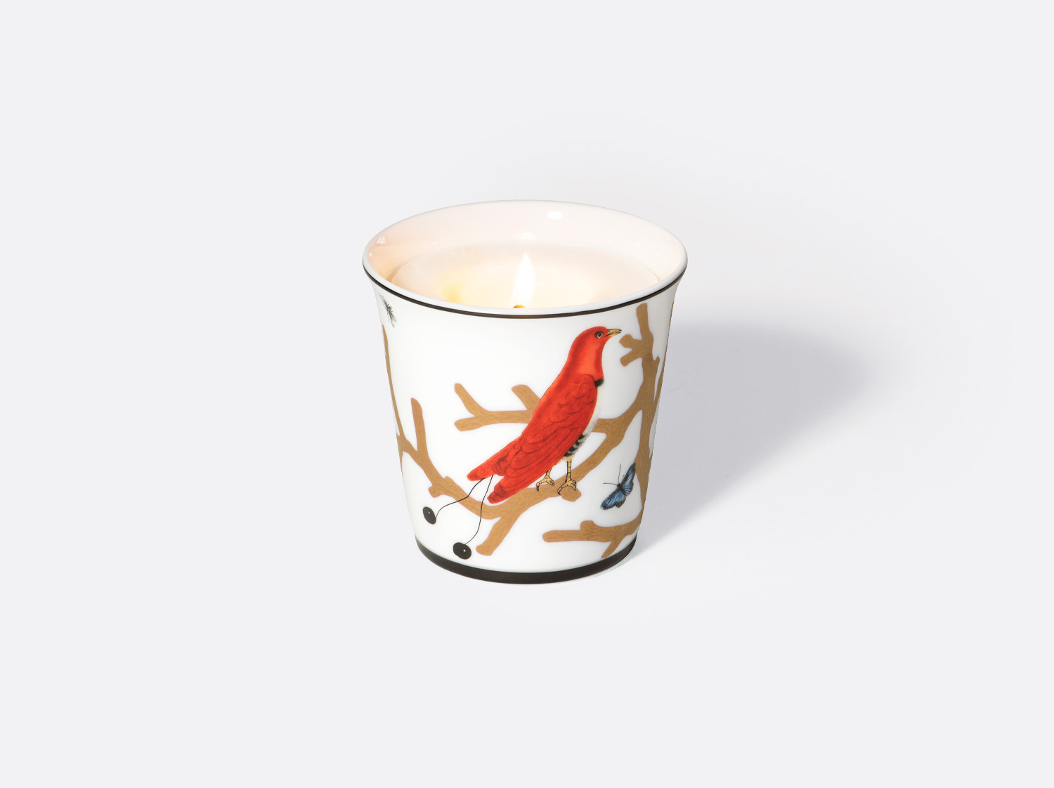 China Tumbler + candle home fragrance 200g of the collection Aux oiseaux - pot | Bernardaud