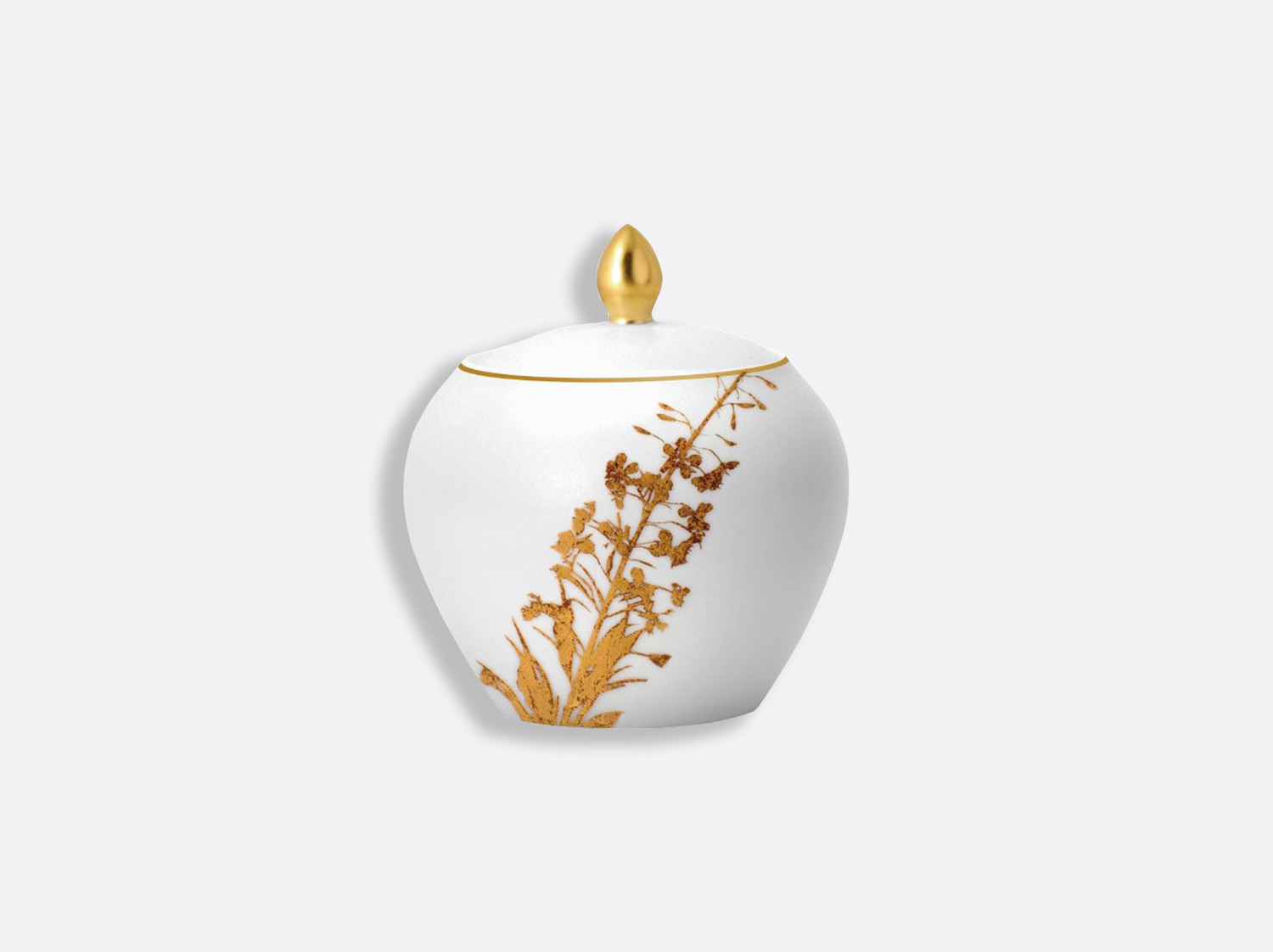 China Sugar bowl 12 cups 10 oz of the collection Vegetal gold | Bernardaud