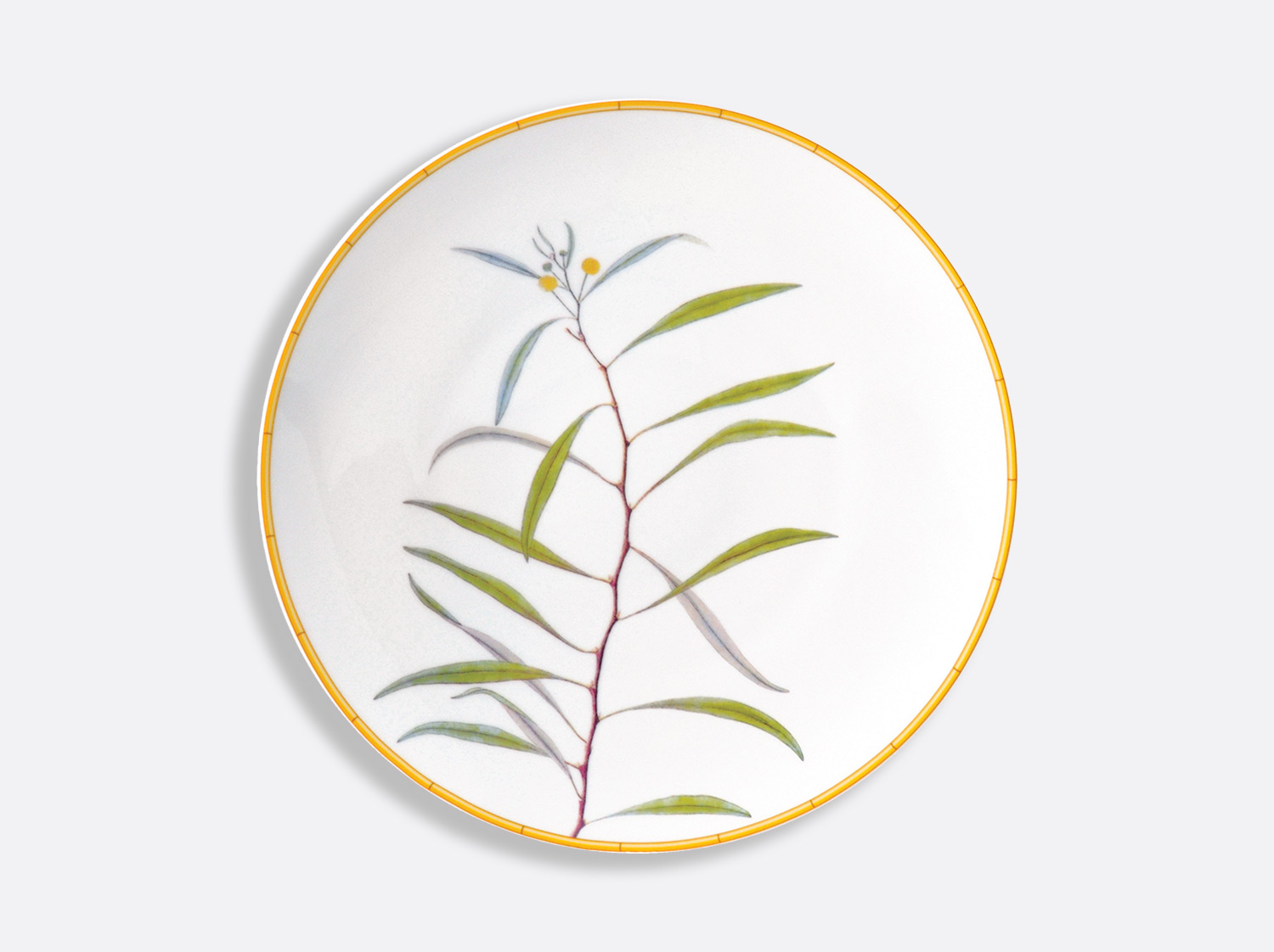 Assiette à dîner 27 cm en porcelaine de la collection Jardin indien Bernardaud