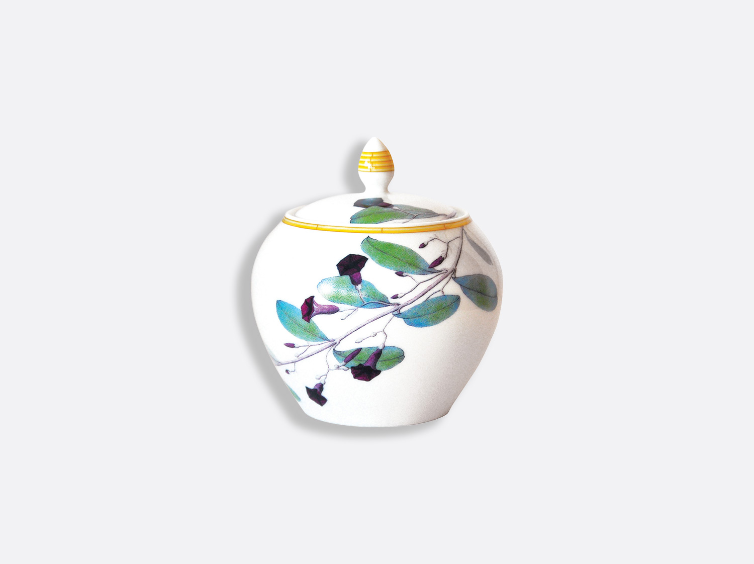 China Sugar bowl 12 cups 10 oz of the collection Jardin indien | Bernardaud
