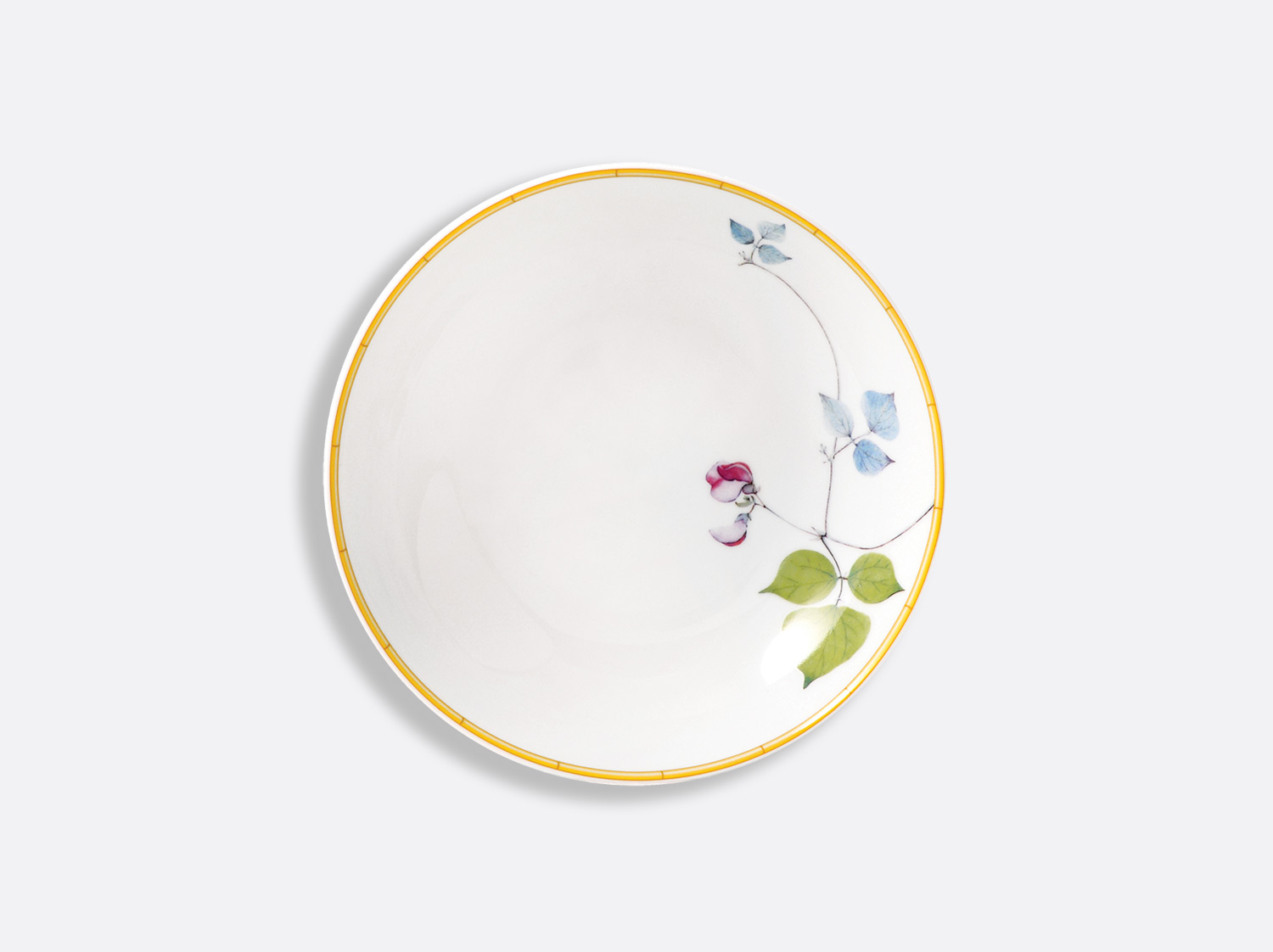 China coupe soup 19 cm of the collection Jardin indien | Bernardaud