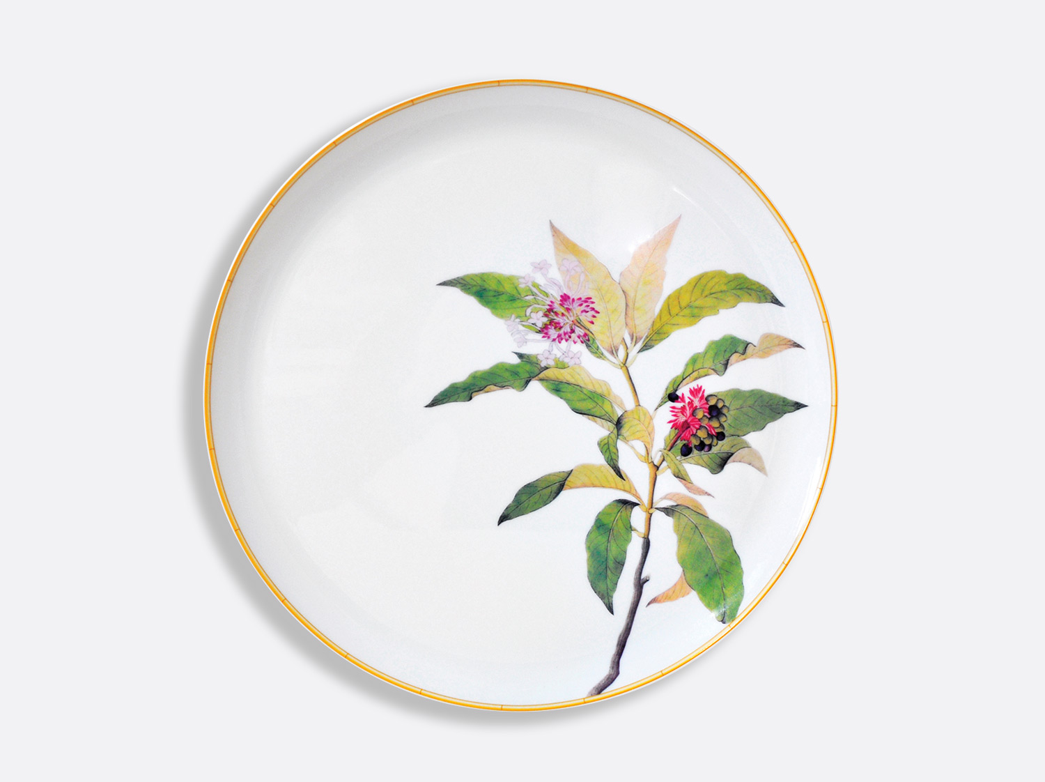 Plat à tarte 32 cm en porcelaine de la collection Jardin indien Bernardaud
