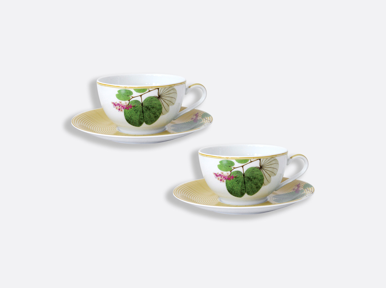 China Gift box set of 2 cups and saucers 10 oz of the collection Jardin indien | Bernardaud
