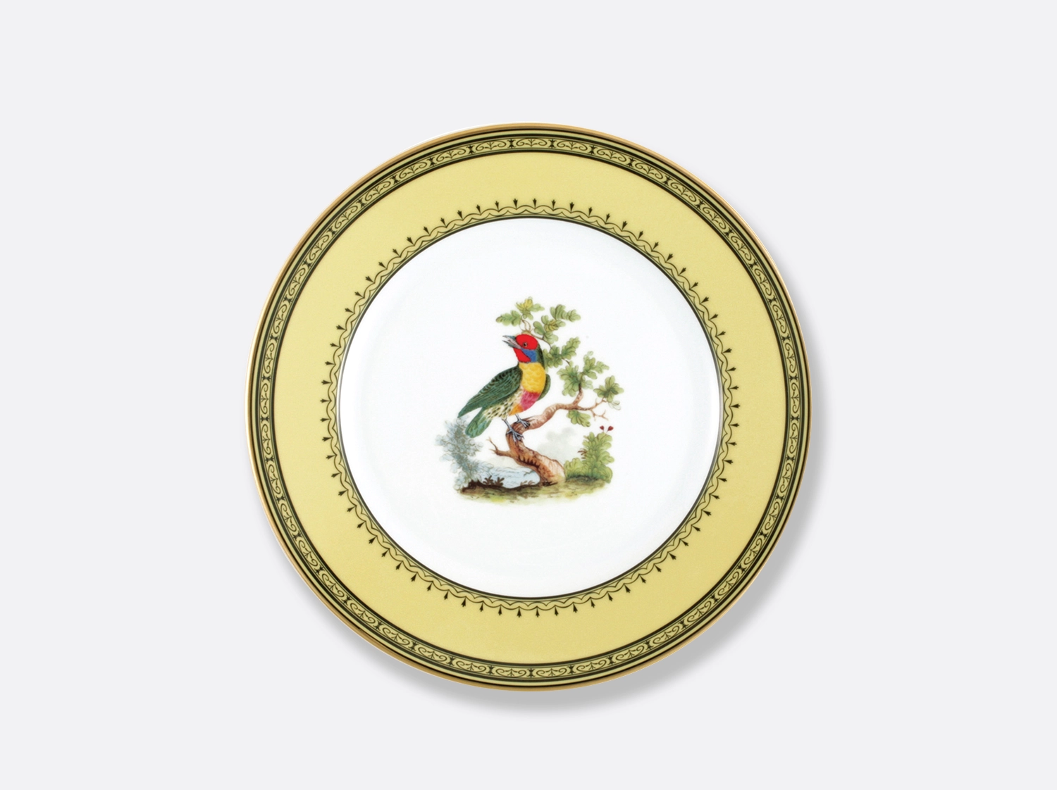Visual Salad plate 21 cm Barbu de maynas