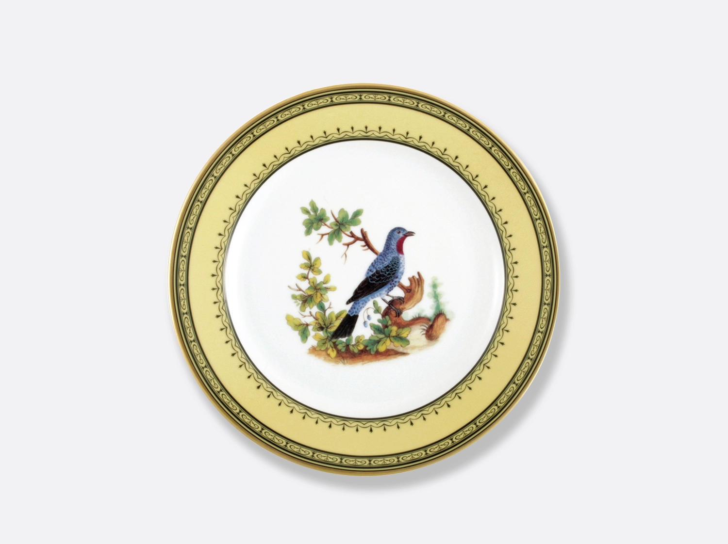Assiette à dessert Cotinga de Cayenne 21 cm en porcelaine de la collection Cotinga de cayenne Bernardaud