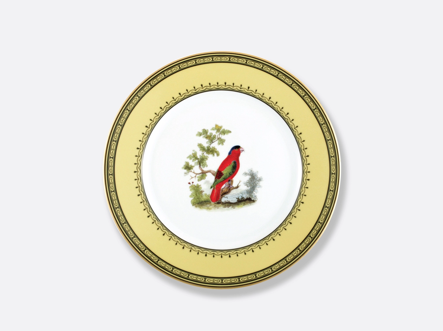 Visual Salad plate lory des indes orientales 21 cm Lory des indes orientales