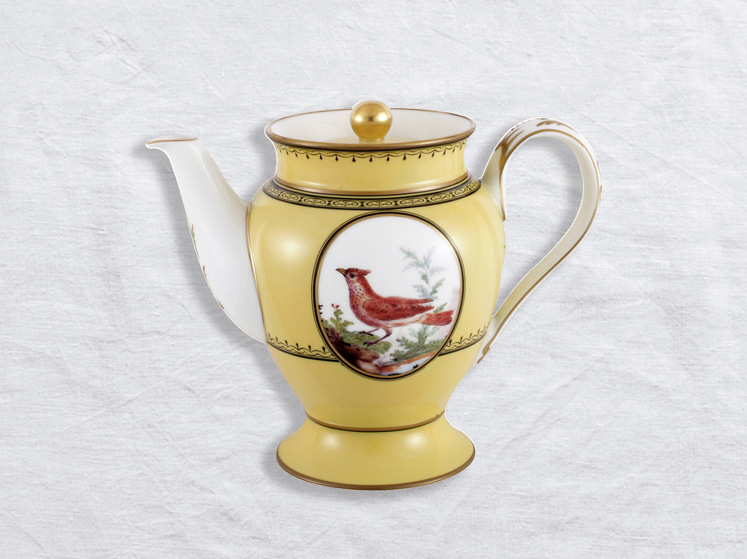 China Coffee pot 12 cups 34 oz of the collection Empire oiseaux de buffon collection | Bernardaud