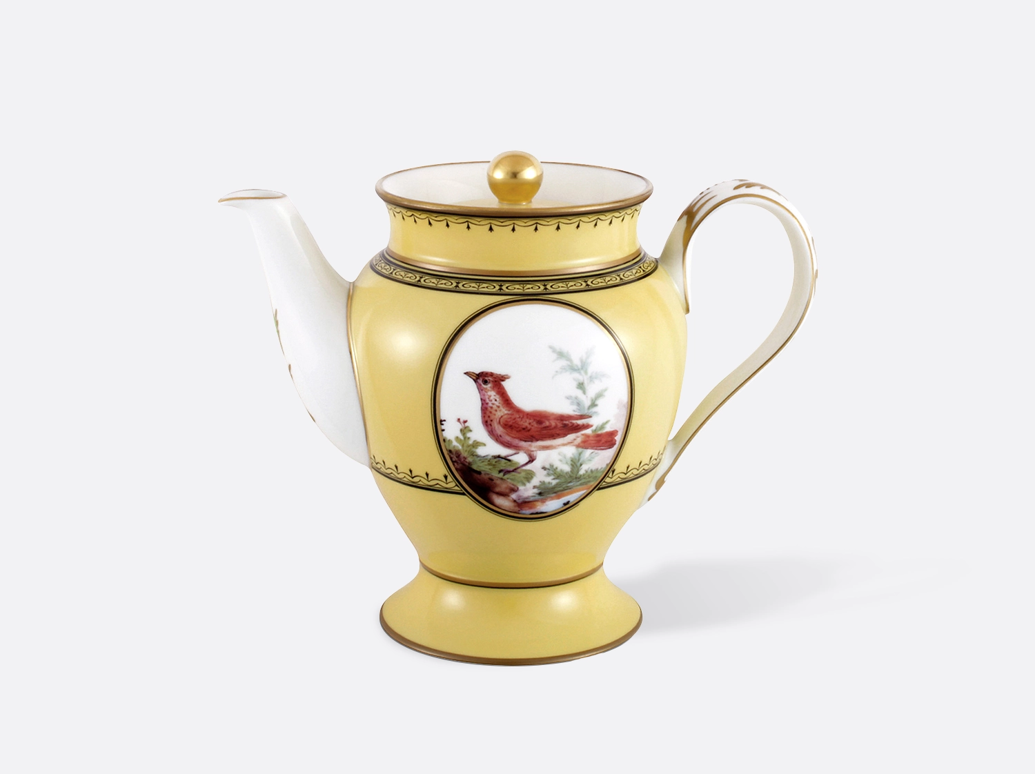 Visual King's garden coffee pot 12 cups Empire oiseaux de buffon collection