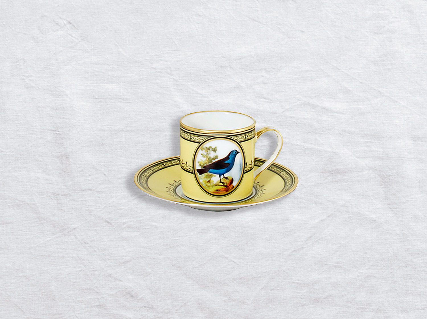 China Espresso cup and saucer 3 oz of the collection Tangara du bresil | Bernardaud