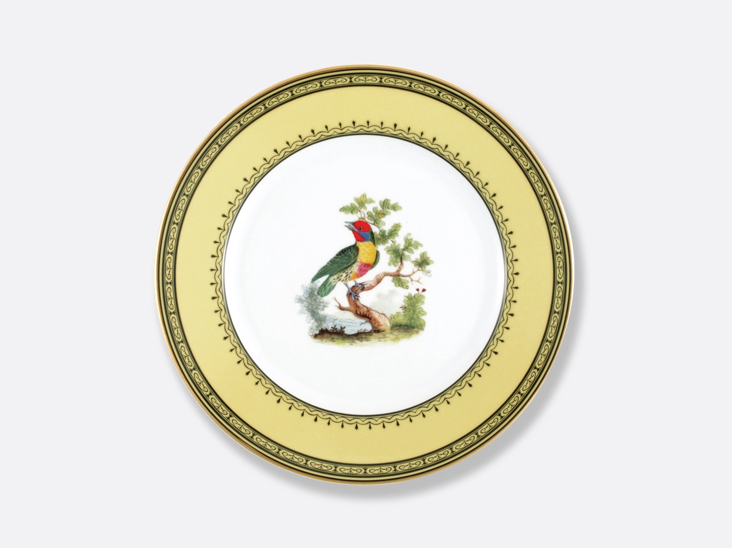 China Dinner plate Barbu de Maynas 10.5" of the collection Barbu de maynas | Bernardaud