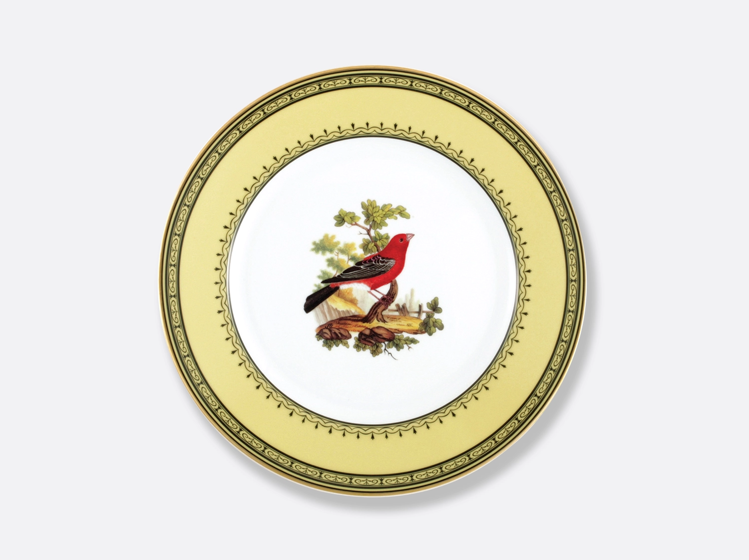 China Dinner plate Gros bec du Canada 10.5" of the collection Gros bec du canada | Bernardaud