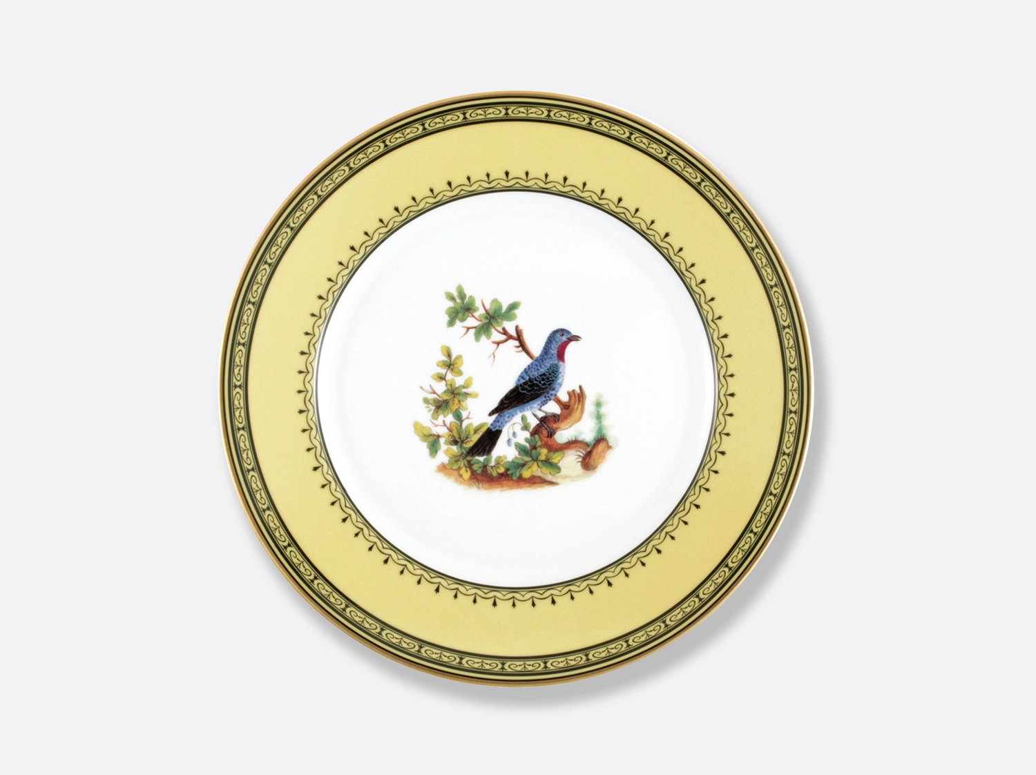 China Dinner plate Cotinga de Cayenne 10.5" of the collection Cotinga de cayenne | Bernardaud