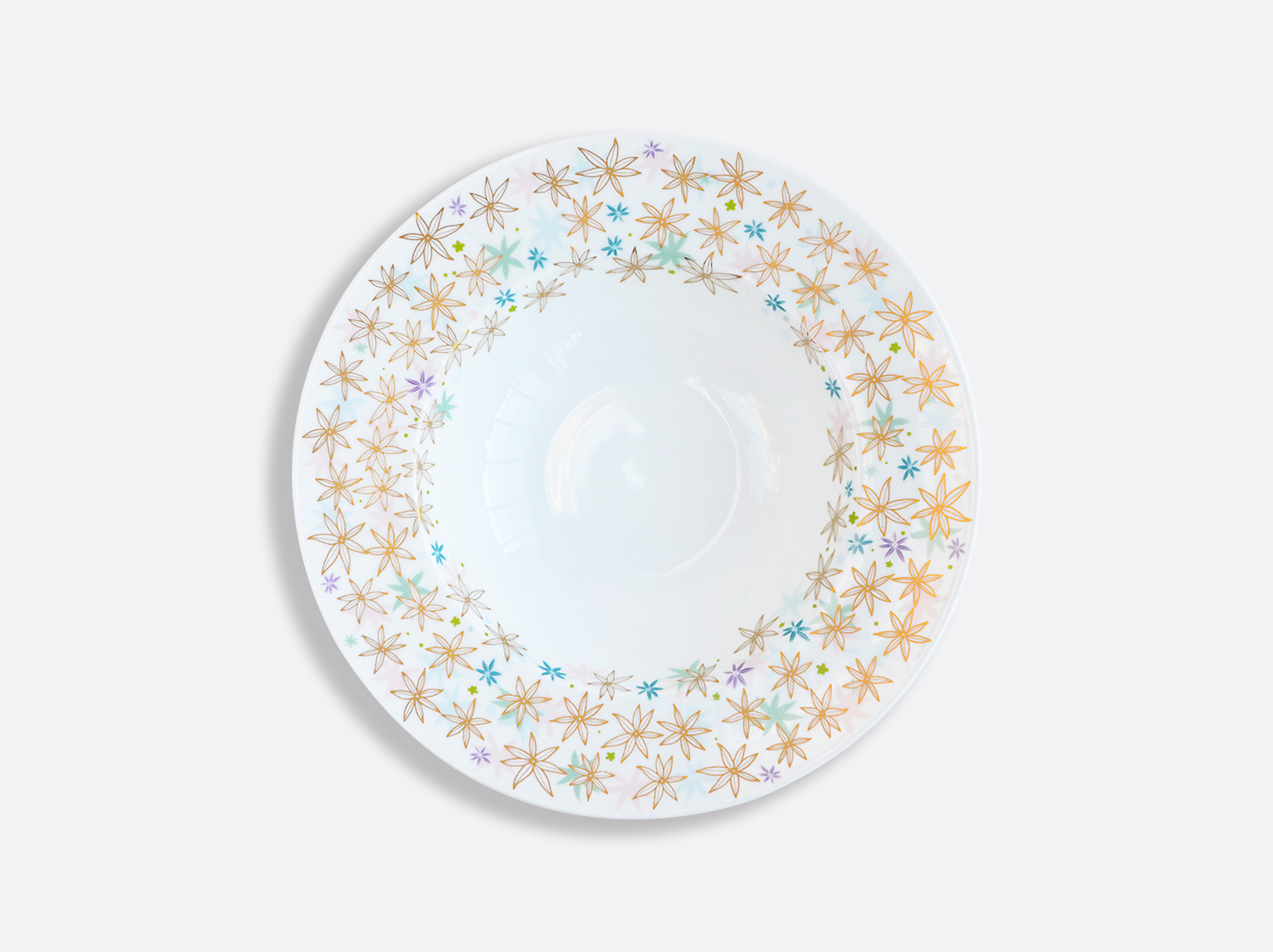 China Rim soup plate of the collection FÉERIE - MICHAËL CAILLOUX | Bernardaud