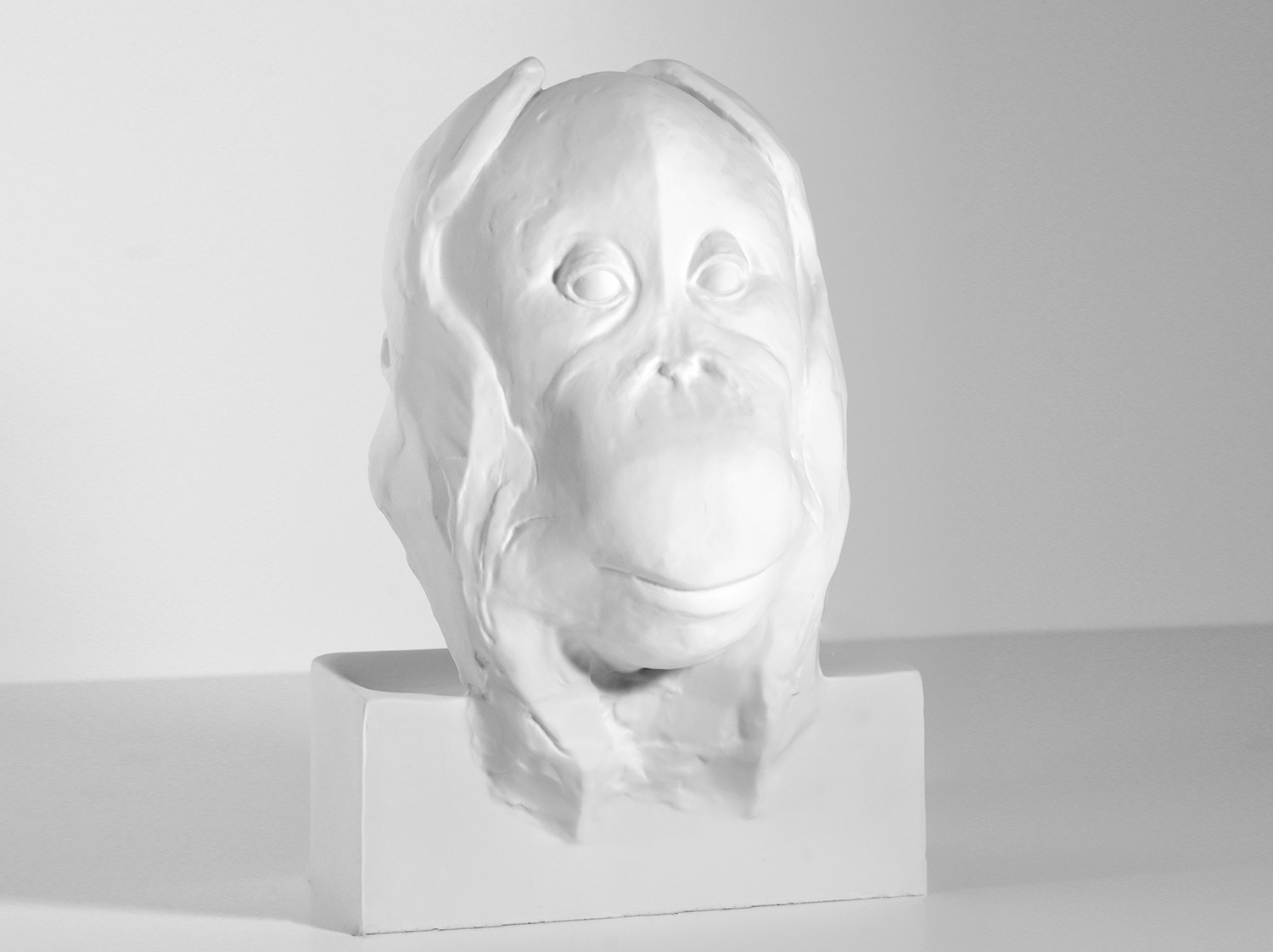 China Porcelain edition of the collection TÊTE D’ORANG-OUTAN – FRANÇOIS POMPON | Bernardaud