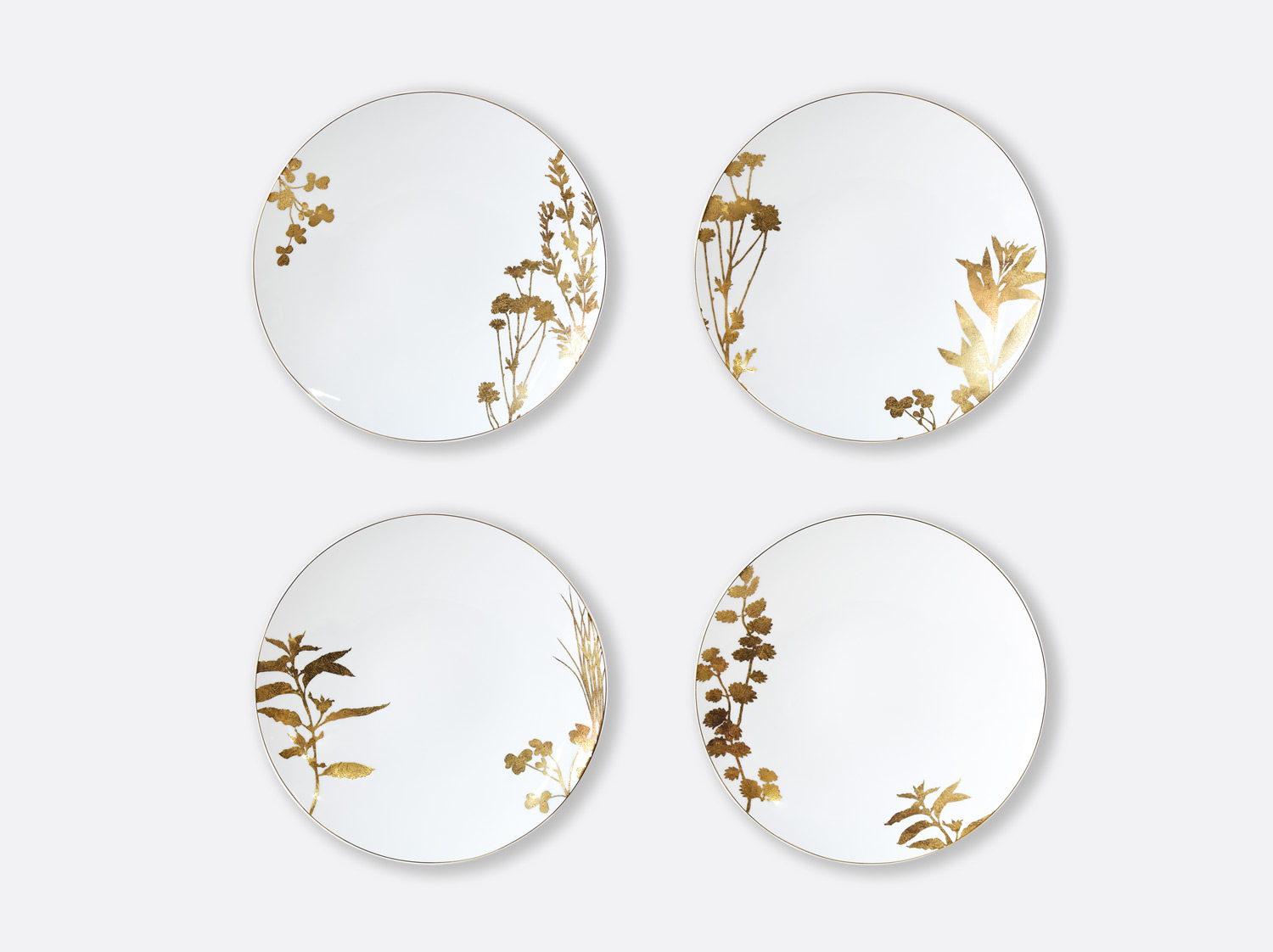 Set of 4 assorted dinner plates 26 cm Végétal Or | Bernardaud Porcelain