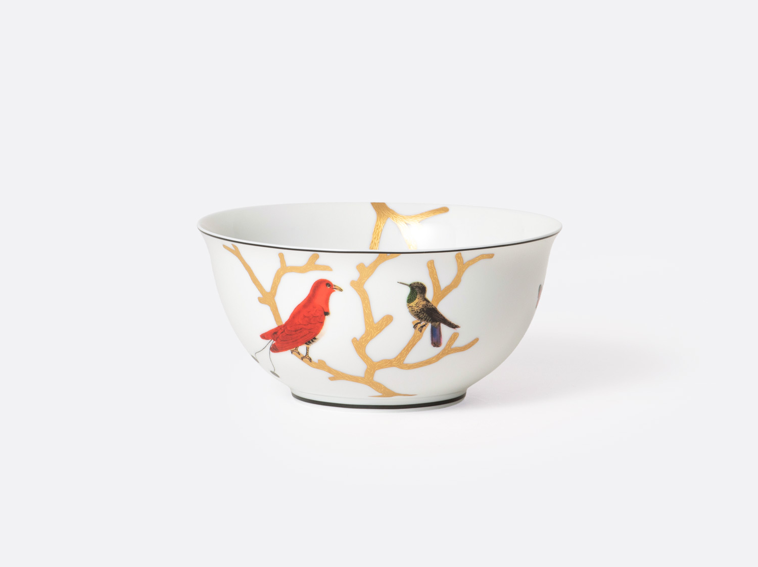 China Noodle bowl 50 cl of the collection Aux oiseaux | Bernardaud