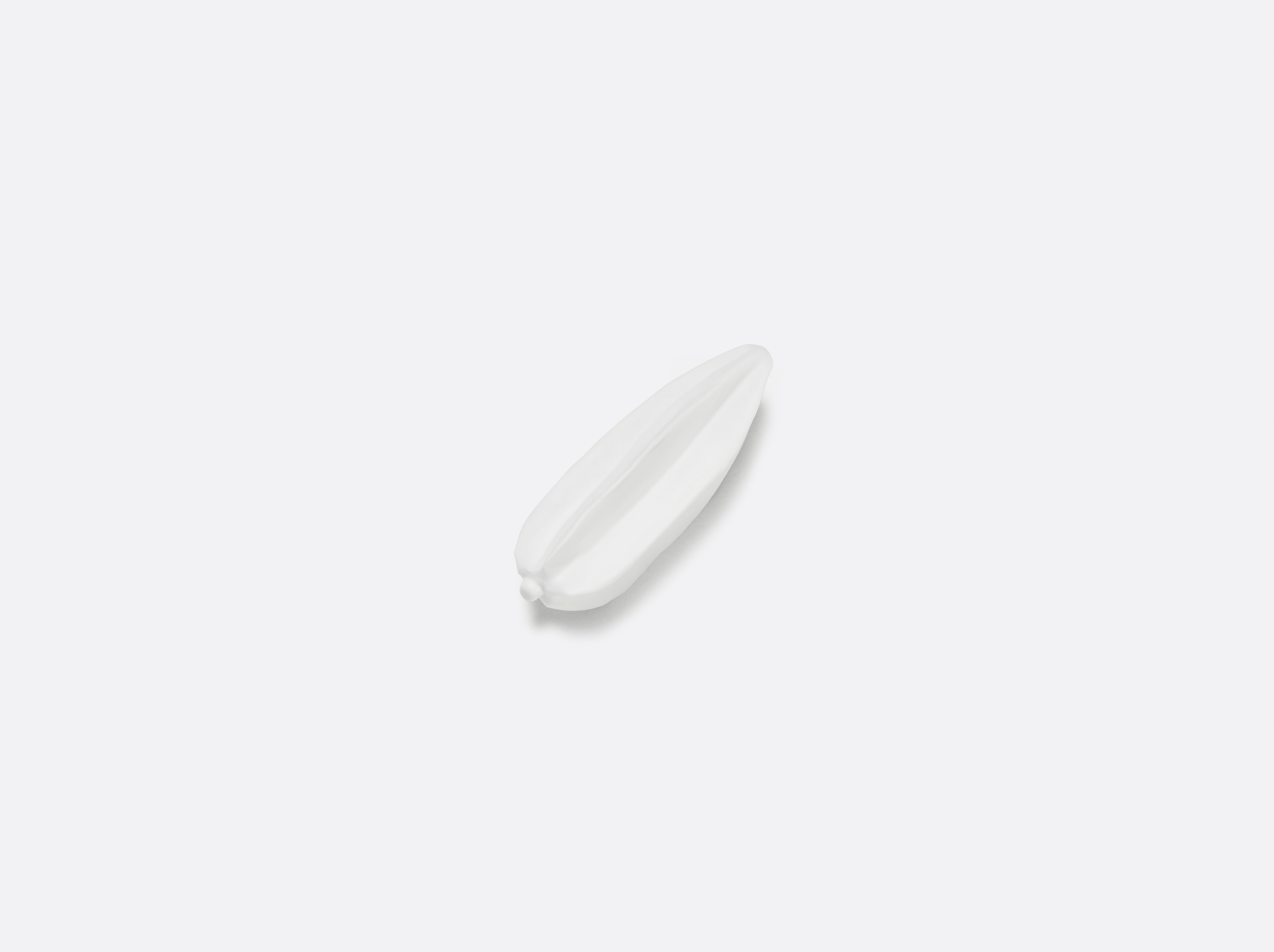 Hoshi - Carambole en porcelaine de la collection Jardin de Table Bernardaud