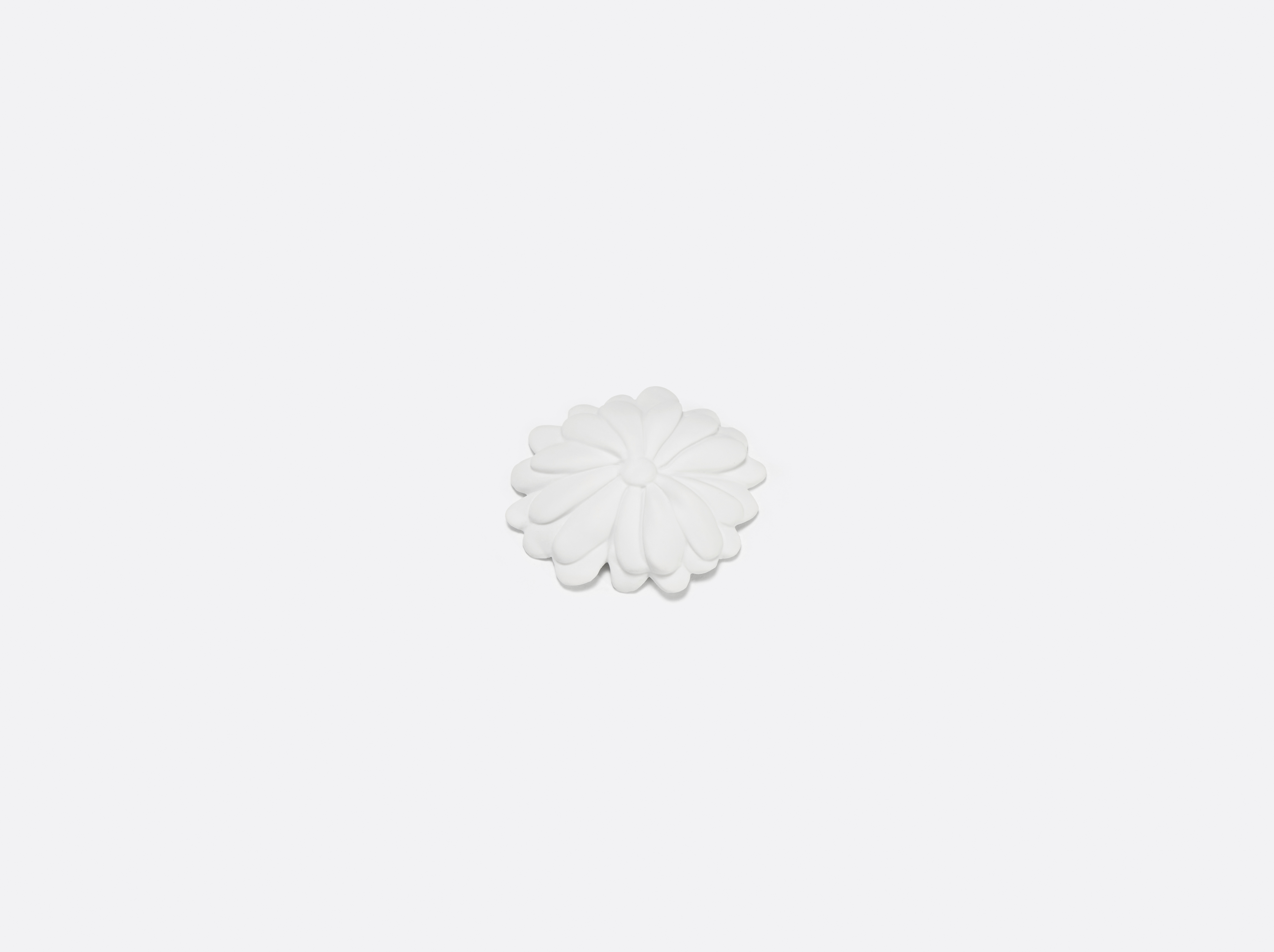 Kiku - Chrysanthème en porcelaine de la collection Jardin de Table Bernardaud