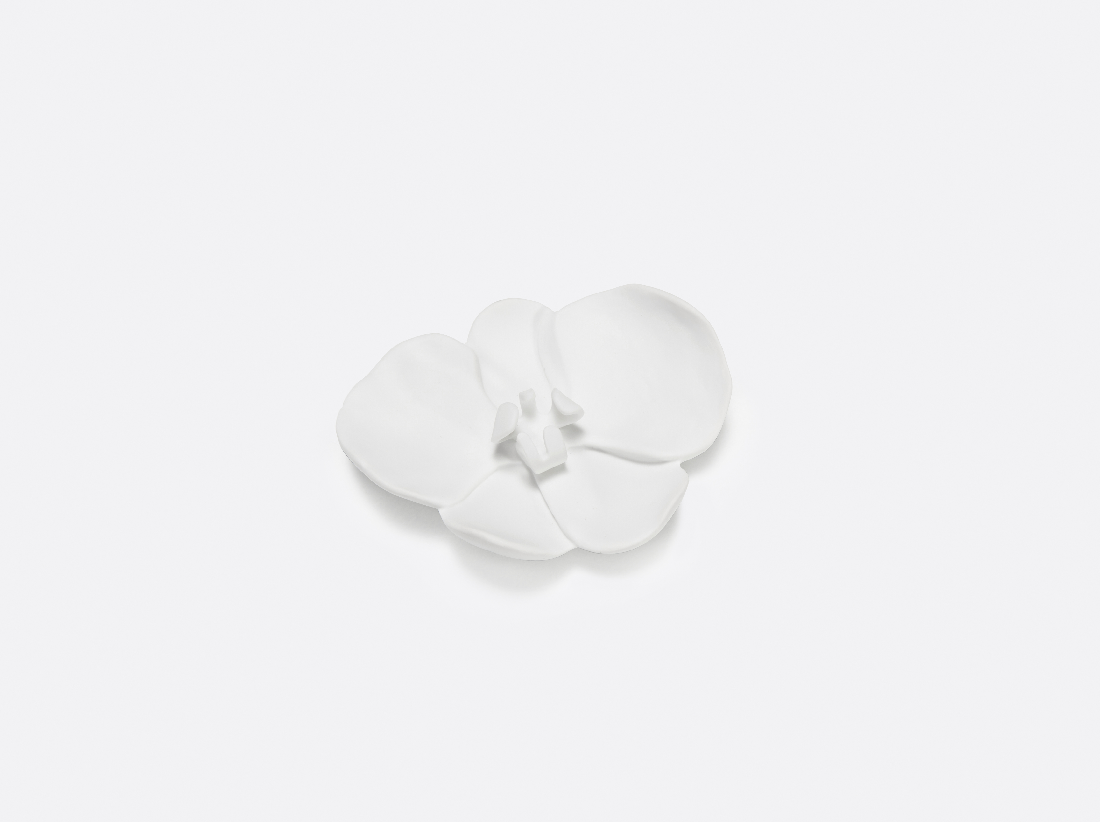 Ran - Orchidée  en porcelaine de la collection Jardin de Table Bernardaud