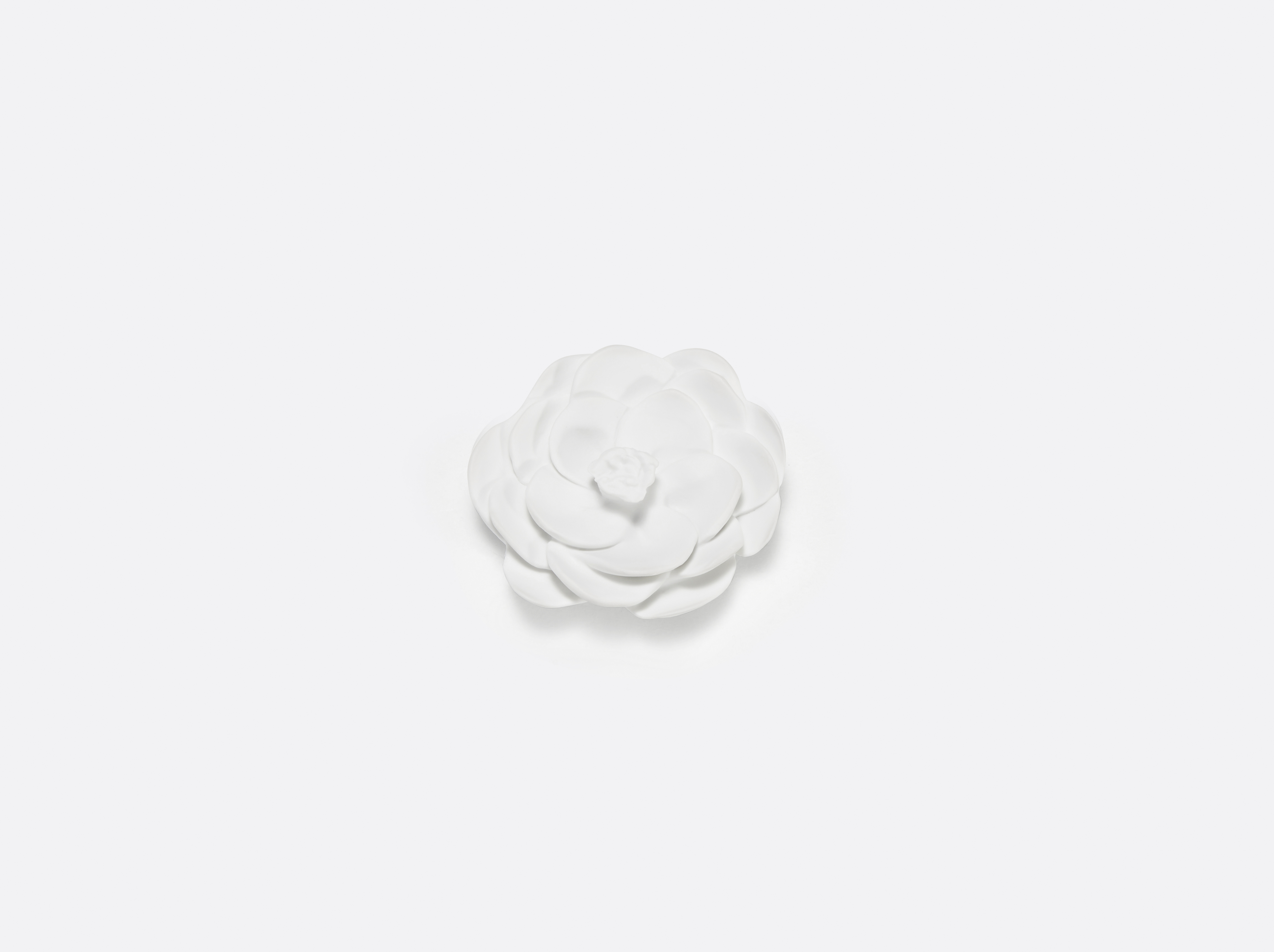Tsubaki - Camélia en porcelaine de la collection Jardin de Table Bernardaud