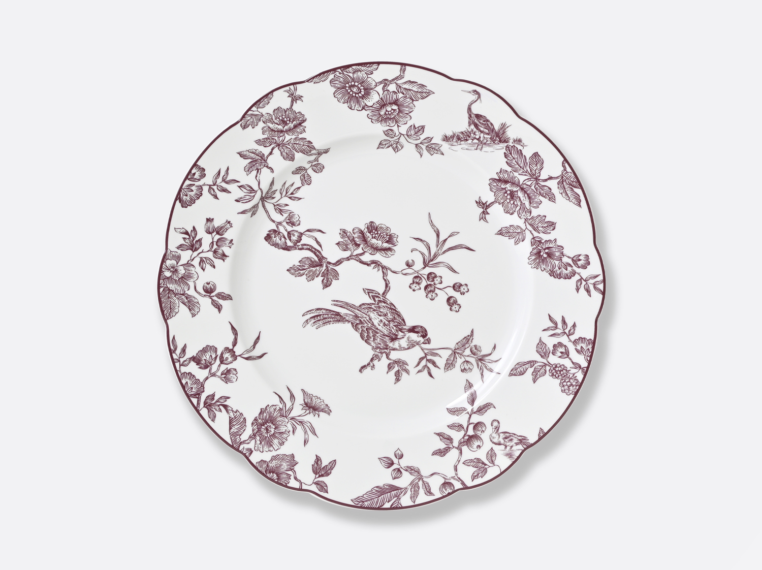 China Dinner plate 10.5'' Albertine Prune of the collection Albertine Prune | Bernardaud