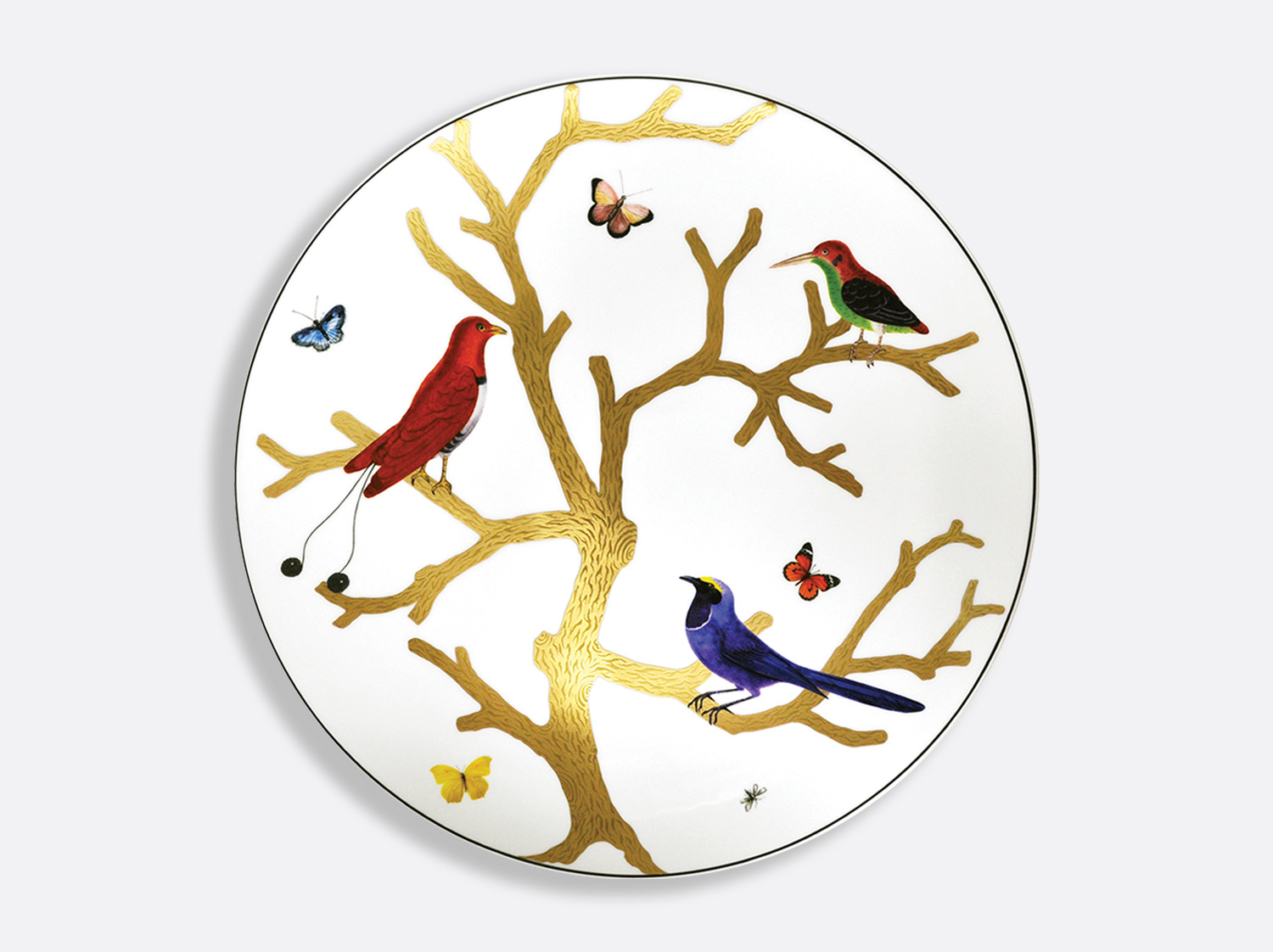 AuxOiseaux_AssUltraPlate31.jpg