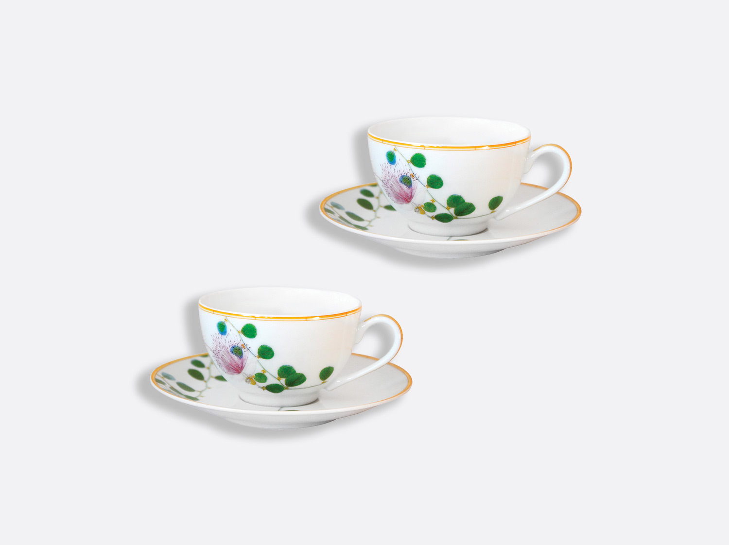 China Tea cup and saucer 4.5 oz - Set of 2 of the collection Jardin indien | Bernardaud